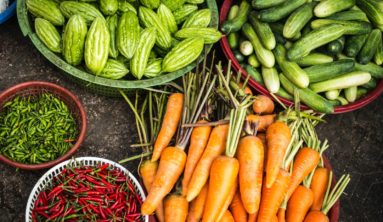 bundle of assorted vegetable lot