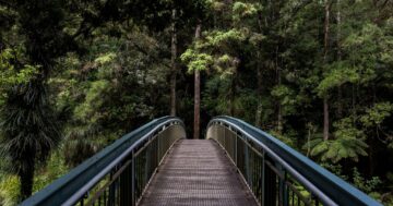 blue and brown steel bridge
